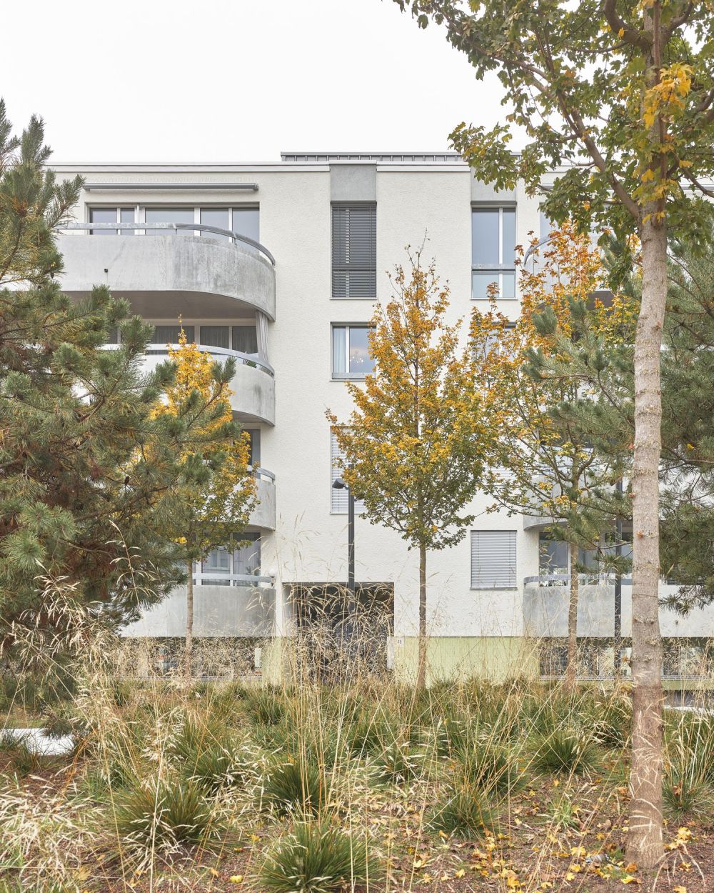 2.5-Zimmerwohnung in Rorschach - Bild 1