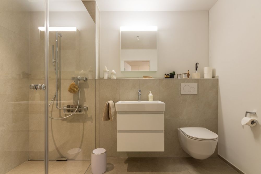 Exklusiv und zentral wohnen an idyllischer Lage - Dachsen_2.5Zi_Duschbad (1)-1