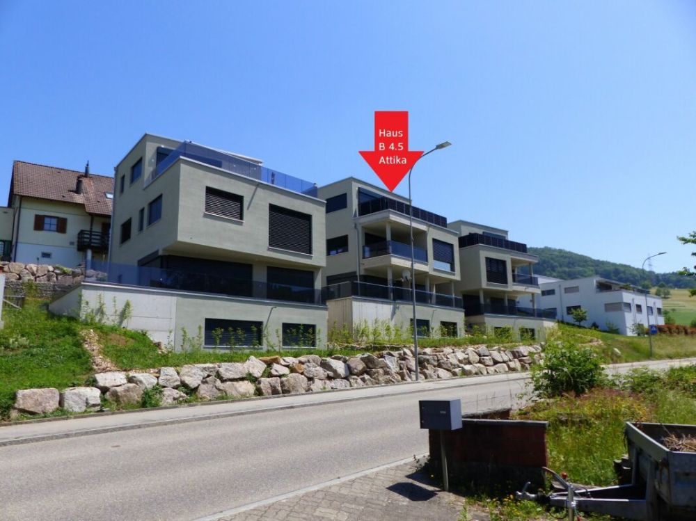 ATTRAKTIVE 4.5 ZIMMER-ATTIKA ZUM MIETEN / NEUBAU - Bild 1