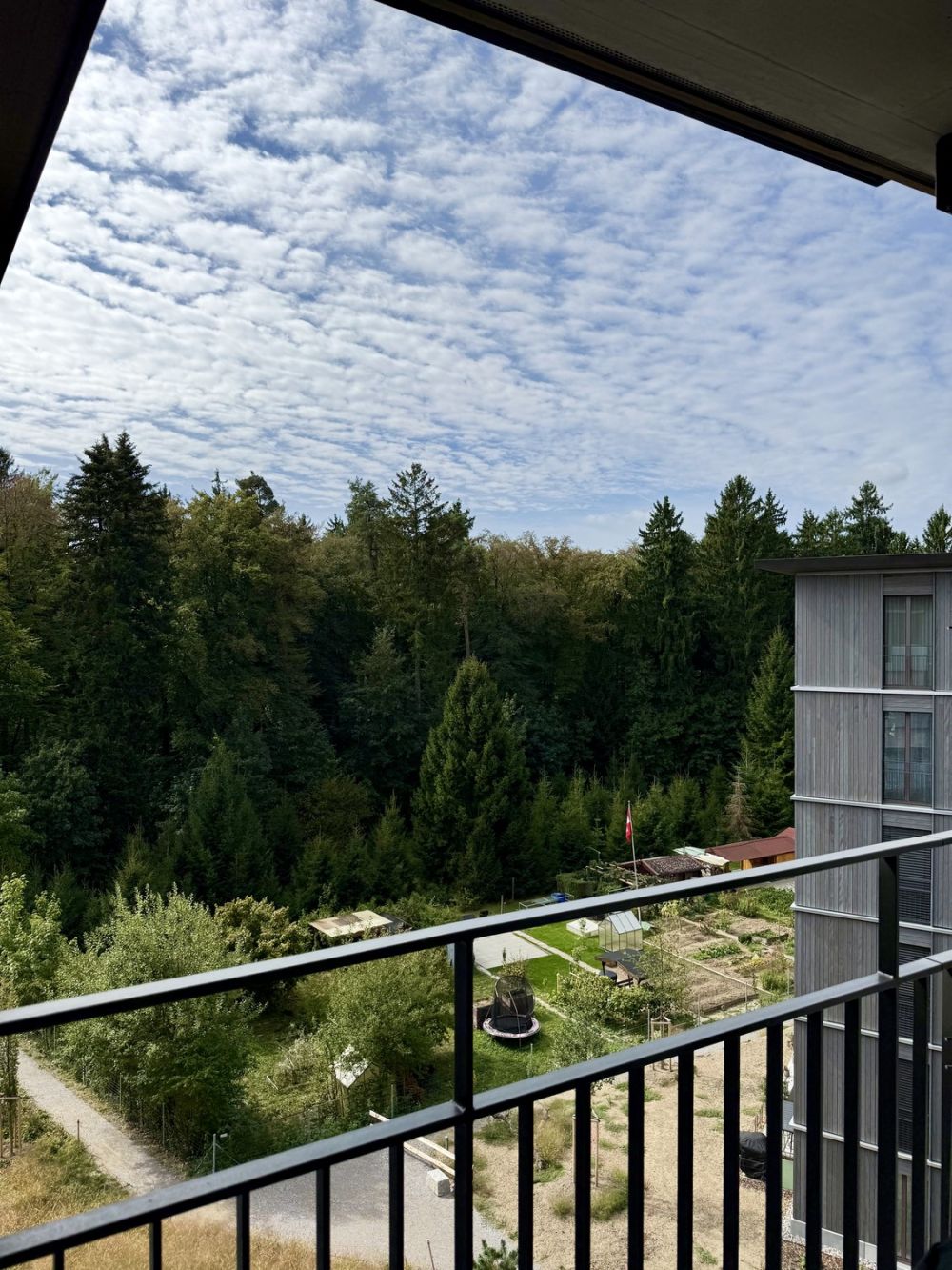Moderne 2.5-Zimmerwohnung im 5. OG – naturnah wohnen in Kloten - Aussicht Balkon