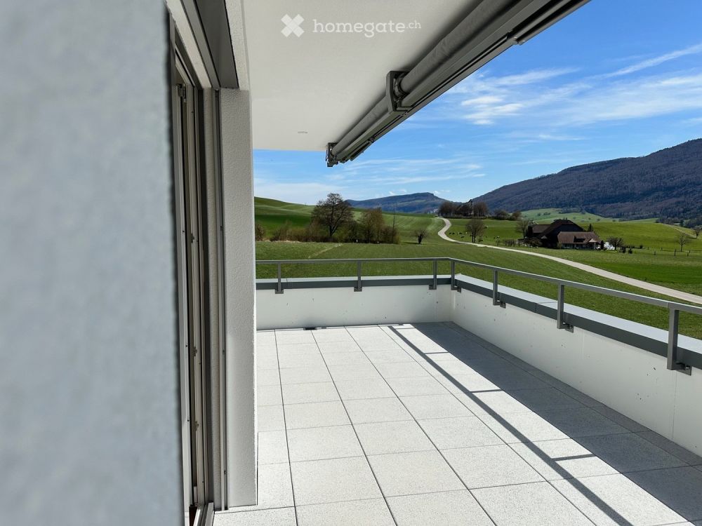 4,5 Zimmer Neubauwohnung mit unverbaubarem Ausblick ins Grüne, in den Naturpark Thal - Bild 13