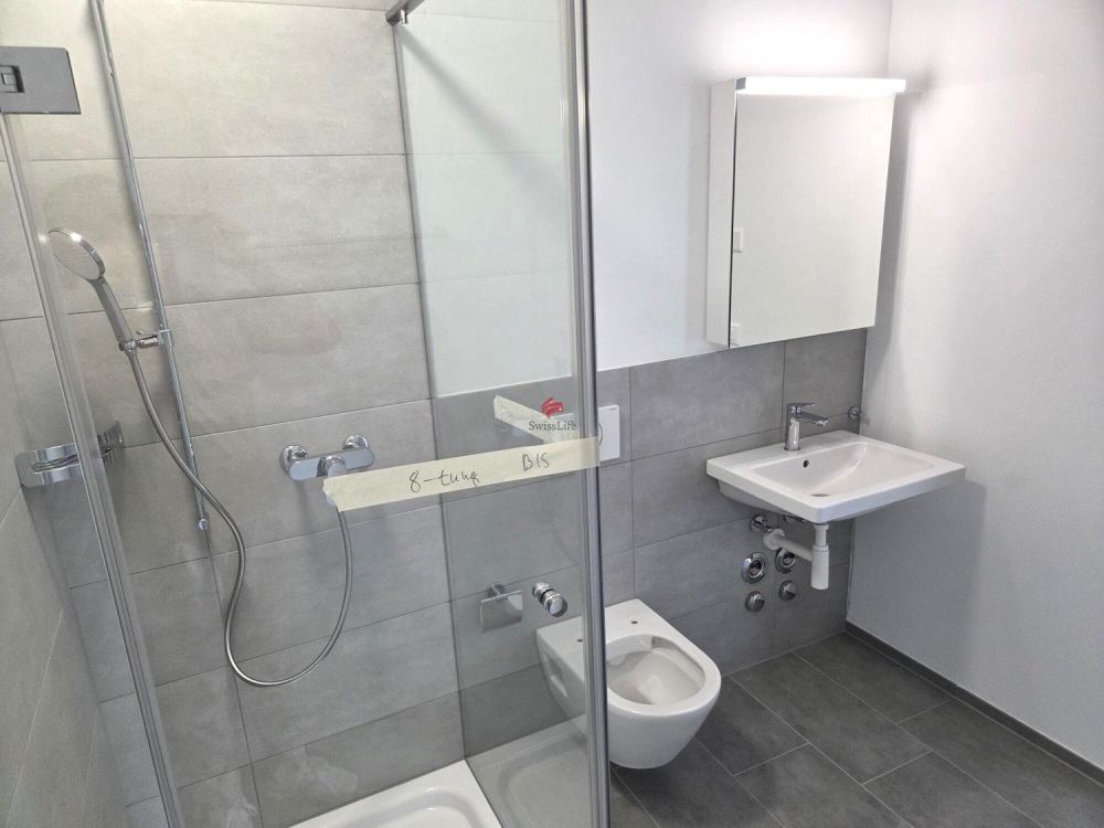 Moderne Loftwohnungen - Erstbezug - Moderne Nasszelle (Dusche/WC)