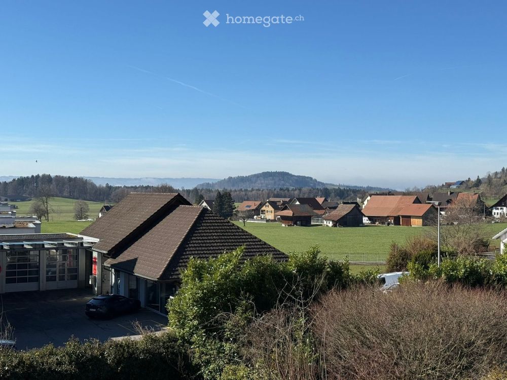 Moderne 3.5-Zimmer-Attikawohnung-Erstbezug in Hausen am Albis - Bild 1