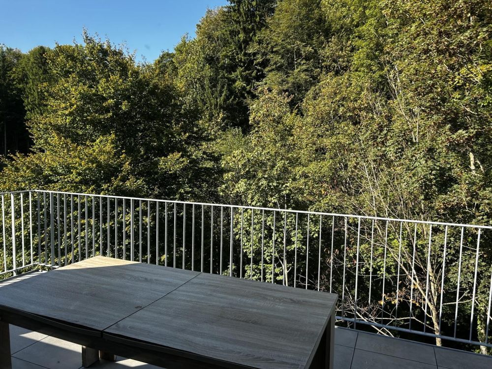 WG Zimmer in Fischingen TG - Bild 7