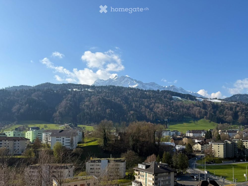 Moderne 3.5-Zimmer-Attikawohnung mit Bergblick in Obernau - Bild 5