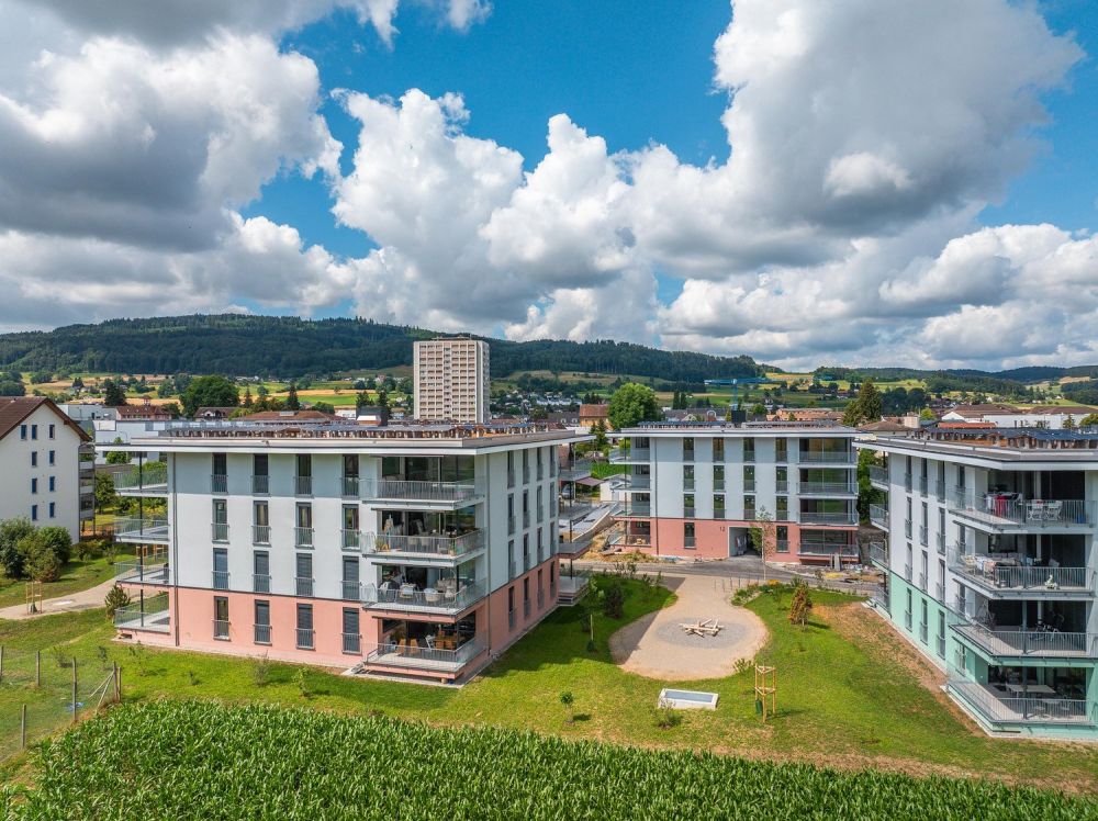 2.5 Zimmerwohnung in Reinach AG - Bild 10