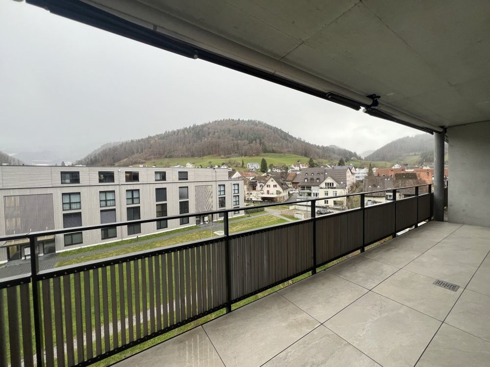Moderne 4.5-Zimmer-Attikawohnung zu vermieten - 11.2 Balkon