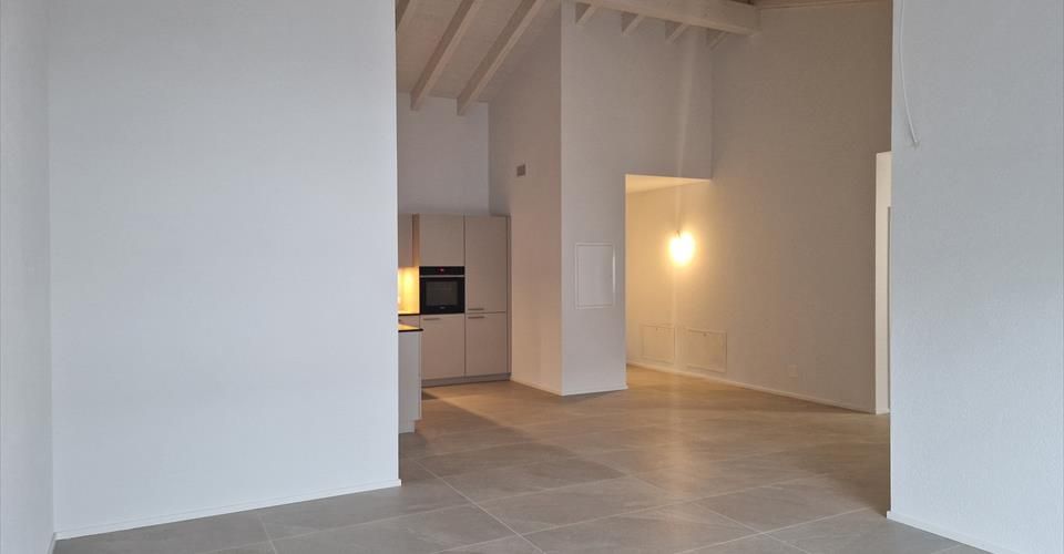 Magnifique appartement 3.5 pces - Appartement 3.5 pièces - image - 1