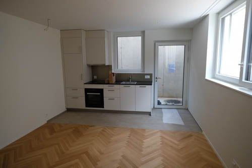 Top Souterrainwohnung im Grünen nur 5 Gehminunten vom Bhf Brugg - Bild 6