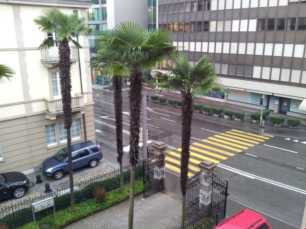 Appartamento nuovo in viale Giuseppe Cattori 10, Lugano - Bild 2