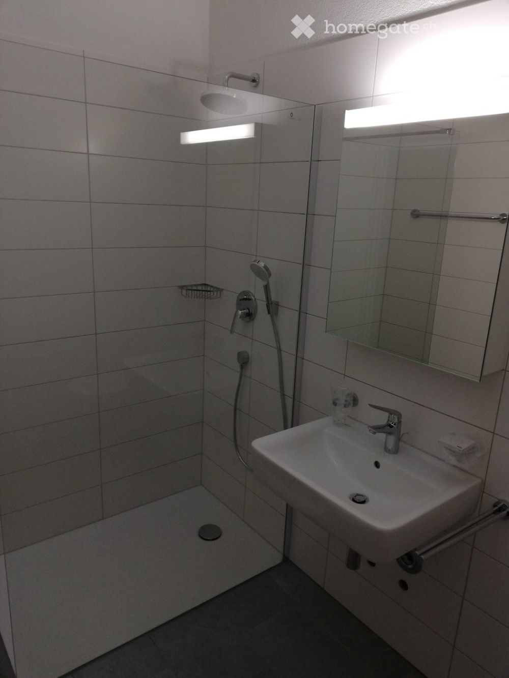 3.5 Zimmer Gartenwohnung - Bild 5