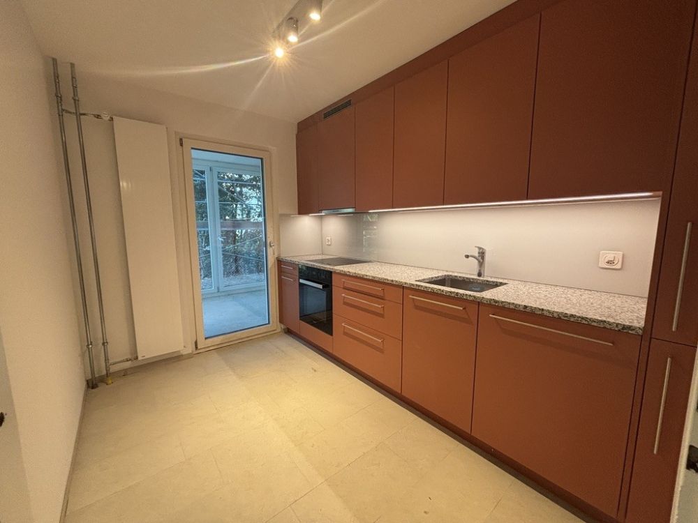 Erstbezug: frisch sanierte Wohnung an ruhiger Quartierstrasse - Bild 1