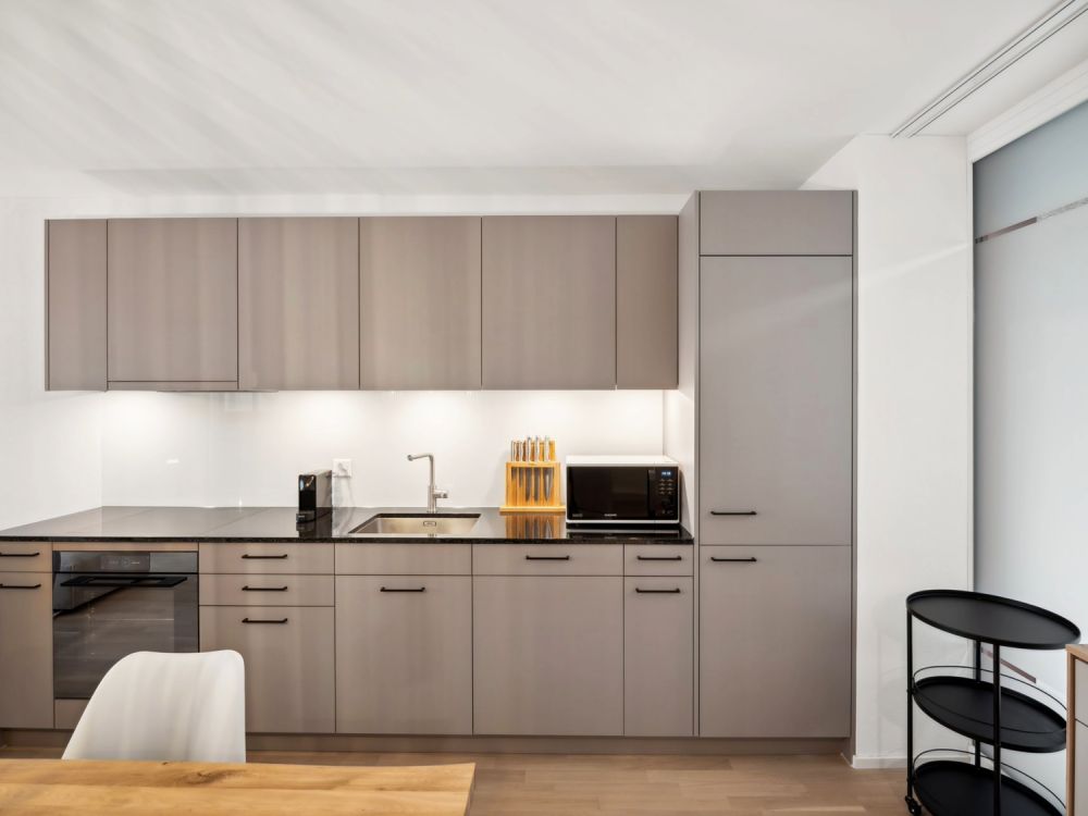 Basel-Aesch - Hochwertig möblierte Apartments nahe ISB Campus - Bild 4