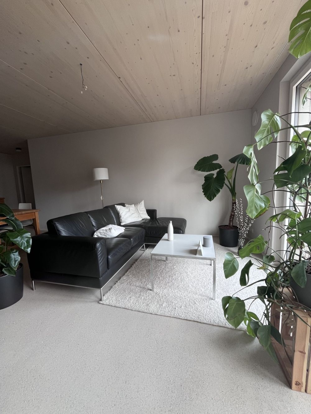 3.5 Z. Wohnung befristet (3.5 Monate) - Bild 2
