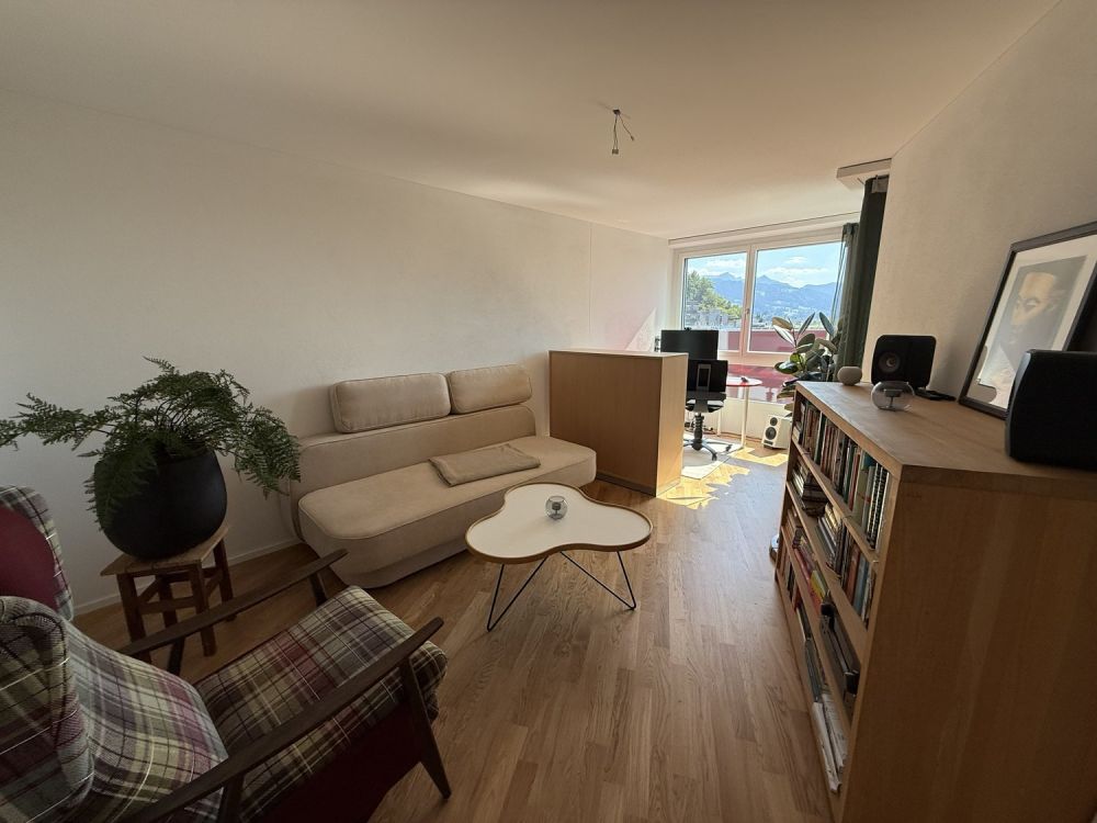 BEFRISTET: Möblierte 4.5-Zimmer-Wohnung mit Dachterrasse und Aussicht in Luzern - Bild 10