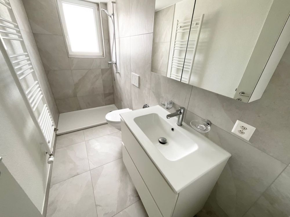 Wohnung mit 3 Zimmern und privater Terrasse renoviert - Bild 5