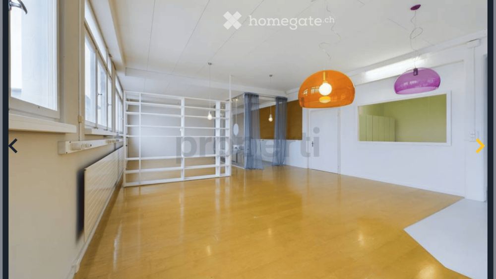 Moderne 2.5-Zimmer-Loft-Wohnung in Luzern Littau - Bild 1