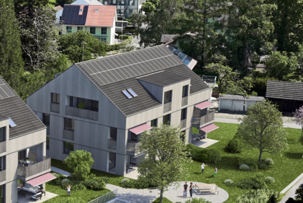 DIE LETZTE VERFÜGBARE WOHNUNG: 2.5 Zimmer Wohnung 2.4 - Bild 2