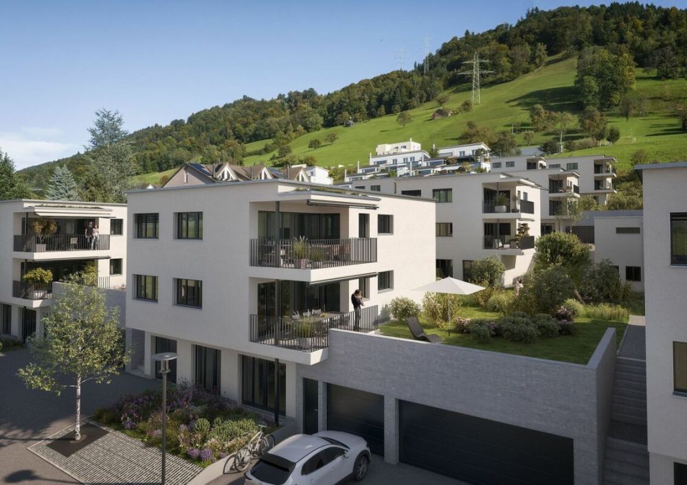 Roots - Bild 3