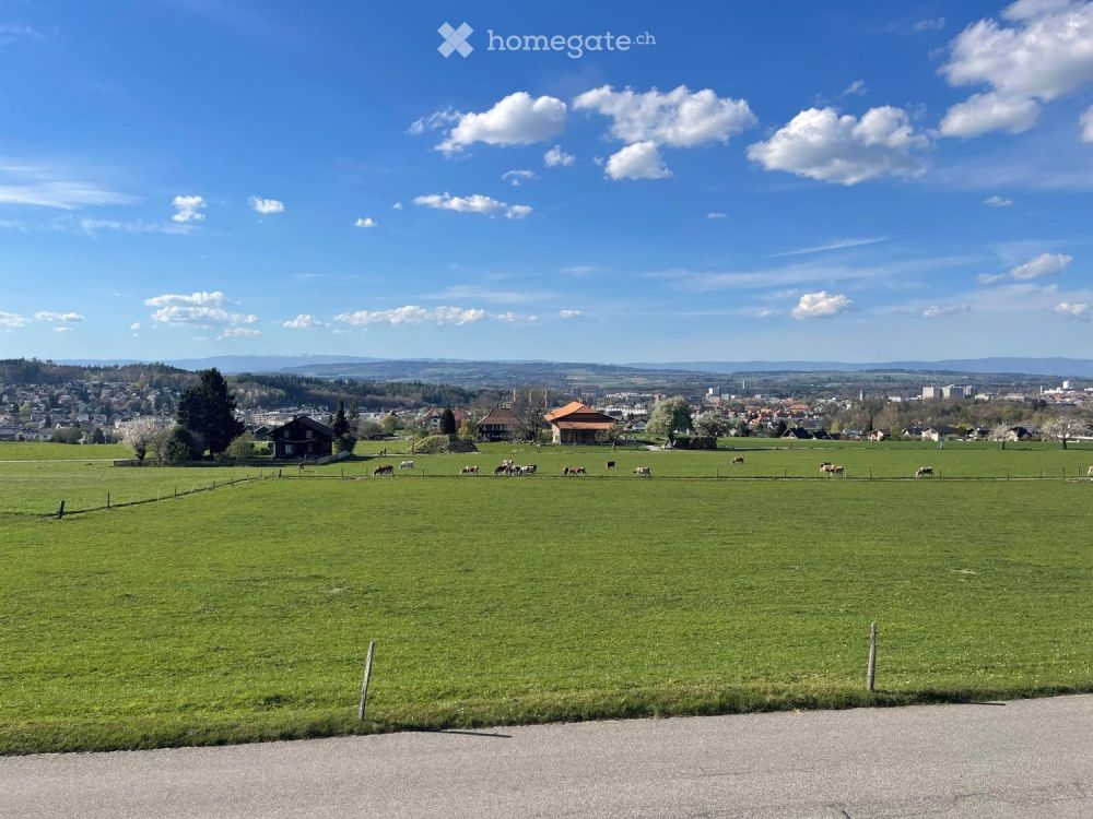 Erstbezug an Toplage mit grosser Dachterrasse mit Weitsicht - Bild 2