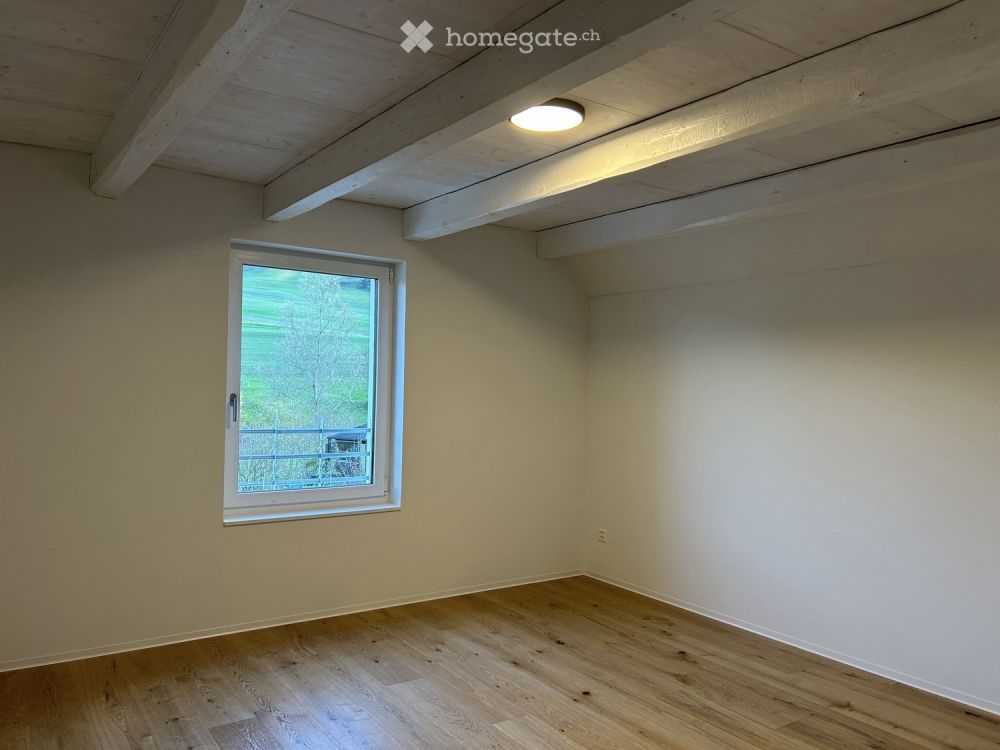 Charmante Wohnung nach Gesamtsanierung – Hauptstrasse 183, Thalheim - Bild 10