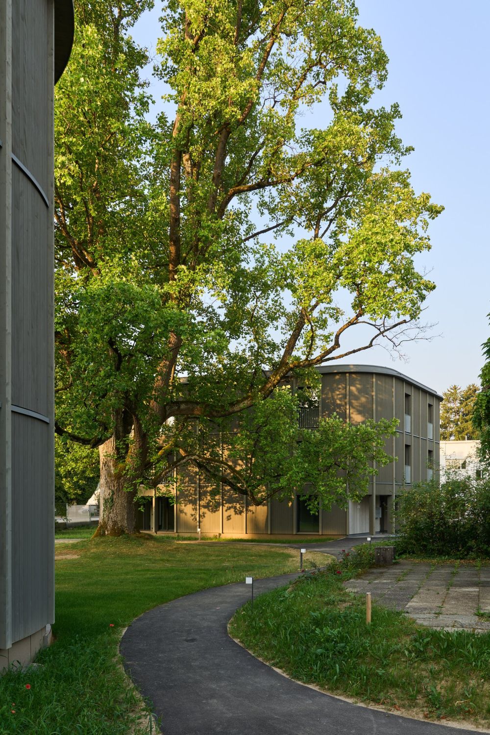 Wohnen bei LE - Bild 3