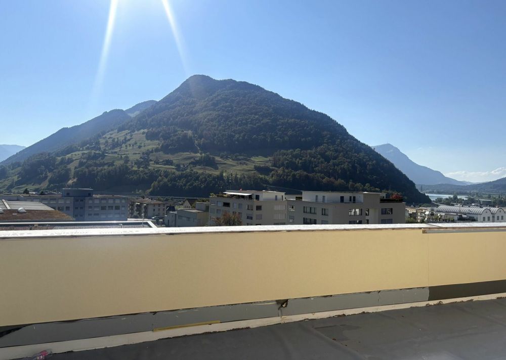 8.5-Zimmer-Doppeleinfamilienhaus mit exklusivem Attikageschoss - Bild 6