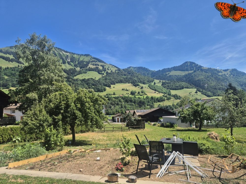 CHARMANTES 3 ½ ZIMMER DUPLEX-WOHNUNG - ALBEUVE - vue