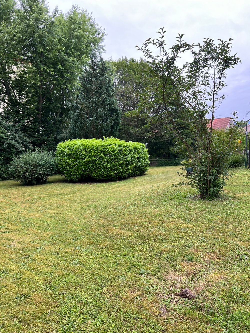 ERSTVERMIETUNG: 4.5-Zi-Wohnung mit Balkon in Brügg im Eigentumsstandart - Bild 11