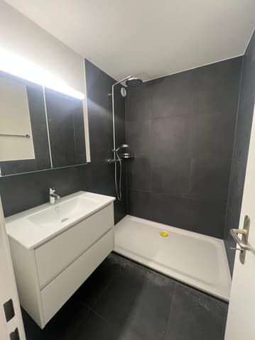 Total sanierte und charmante 3.5-Zimmerwohnung zu vermieten - Bild 3