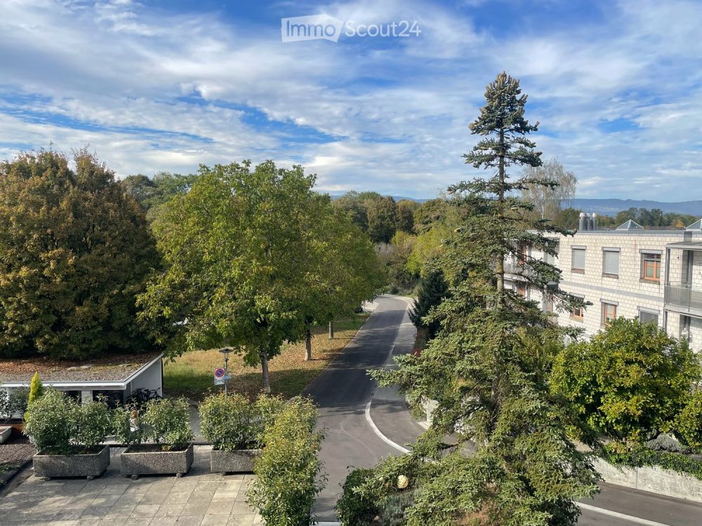 Neu Renovierte 2.5-Zimmer-Altstadtwohnung mit grosser Terrasse - Bild 3