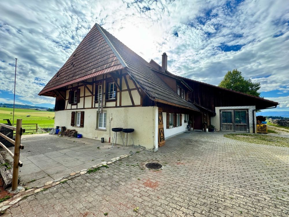 Traumwohnung auf dem Bauernhof - Bild 1
