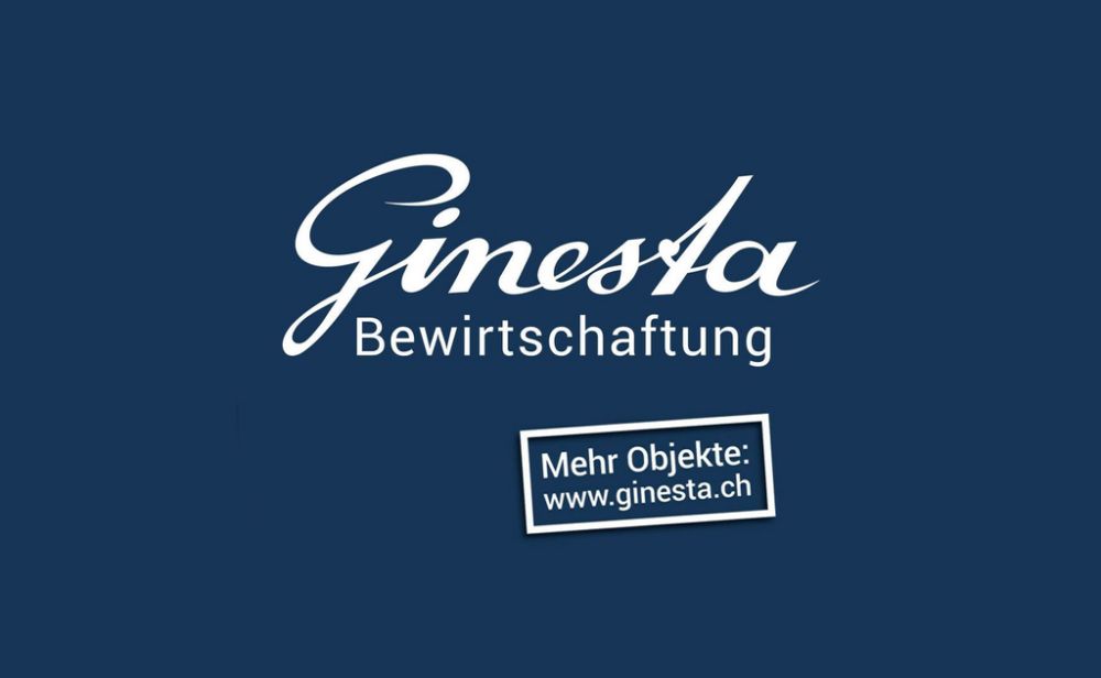 Moderne 3.5-Zimmer-Attikawohnung mit grosszügiger Terrasse - Ginesta Immobilien Verwaltungen AG