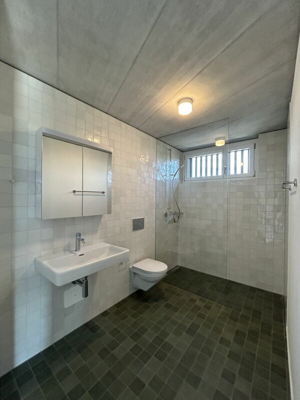 Neubau 3.5-Zimmer-Wohnung mit grosser Dachterrasse - Bild 9