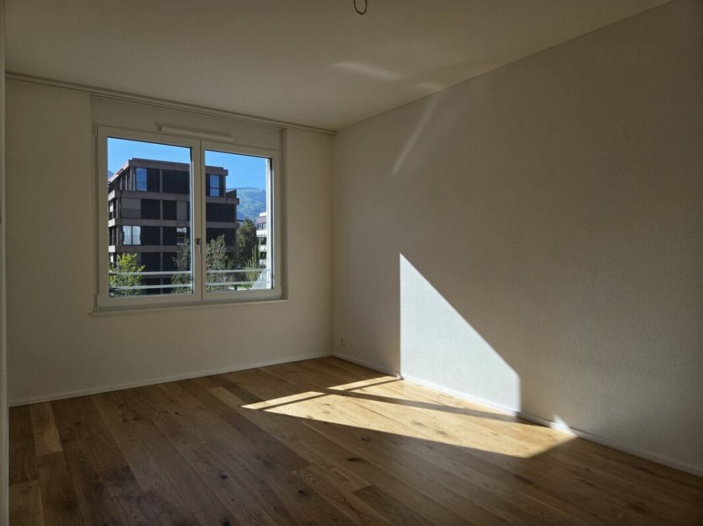 5 1/2-Zimmer-Wohnung - Neubauprojekt "Rheincity" - Bild 6