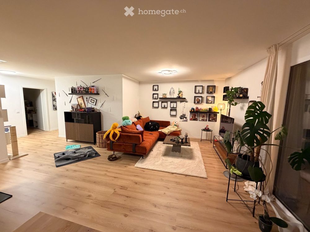 Moderne 4.5-Zimmer-Neubau-Wohnung in Dottikon - Bild 1