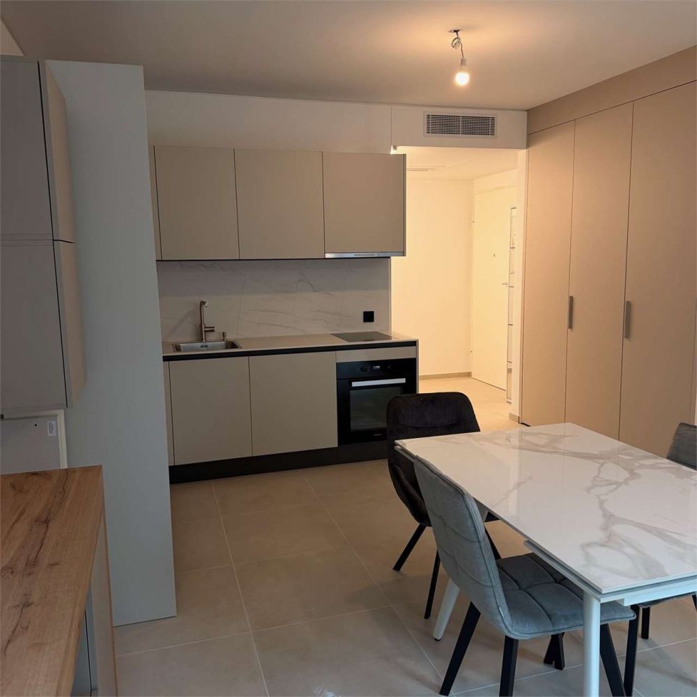 Green Corner - Appartamento Ammobiliato in Prima Locazione a Paradiso - Bild 4