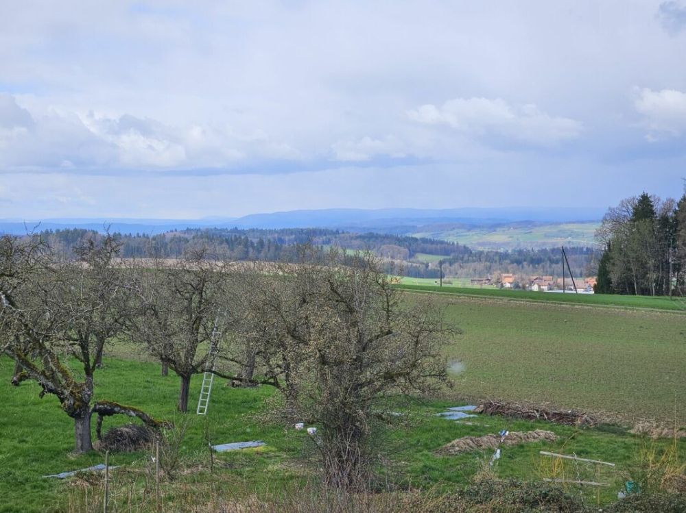 Neubau-Loftwohnung mit Aussicht, Ruhe und Komfort - Bild 9