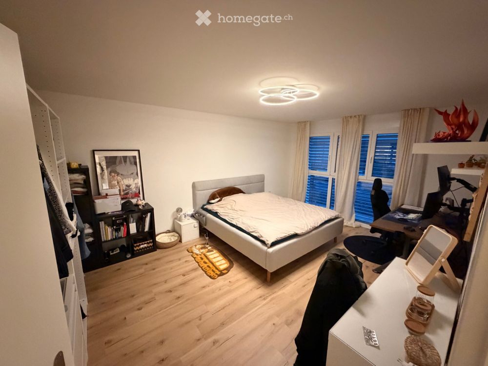 Moderne 4.5-Zimmer-Neubau-Wohnung in Dottikon - Bild 5