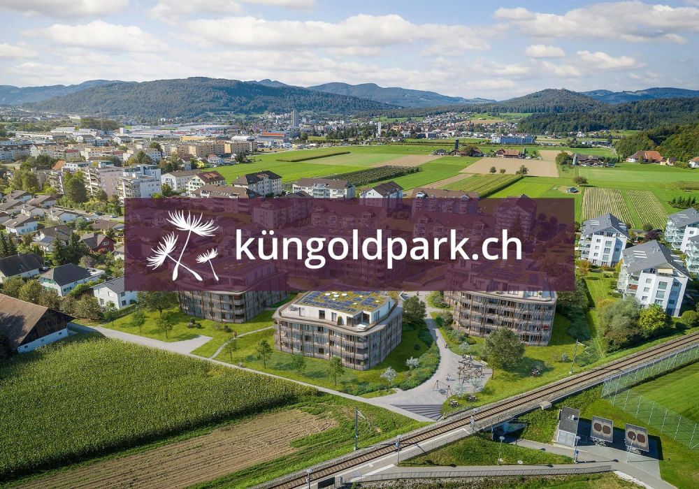 Neubauwohnungen im schönen Küngoldingen! - Bild 1