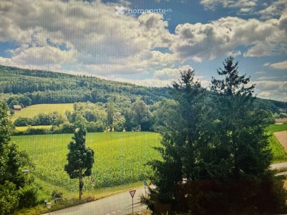 Erstbezug nach Totalsanierung! Moderne 3.5 Zimmer_Whg. - Bild 1