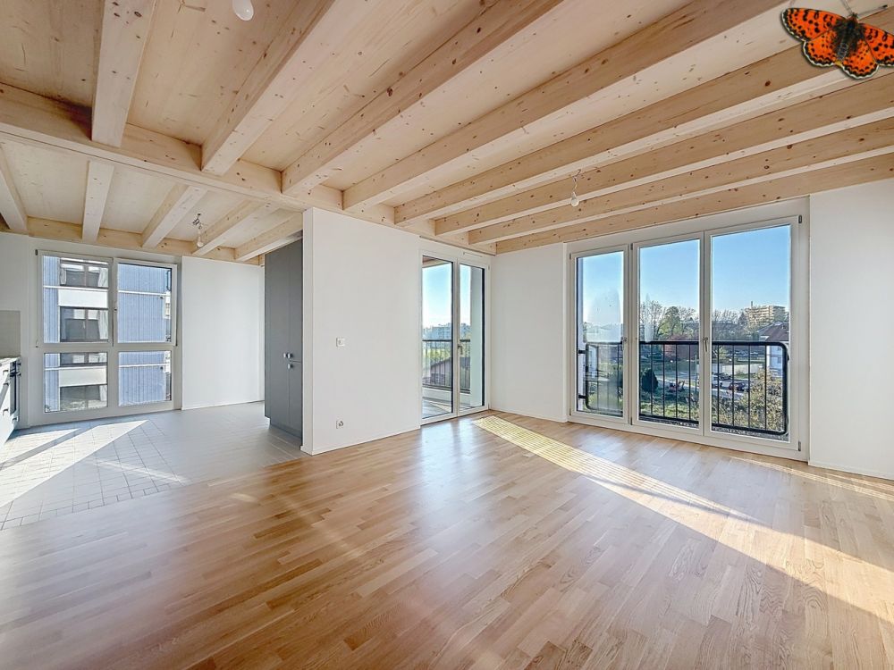 3½ PIÈCES - Neuf avec un balcon - Salon