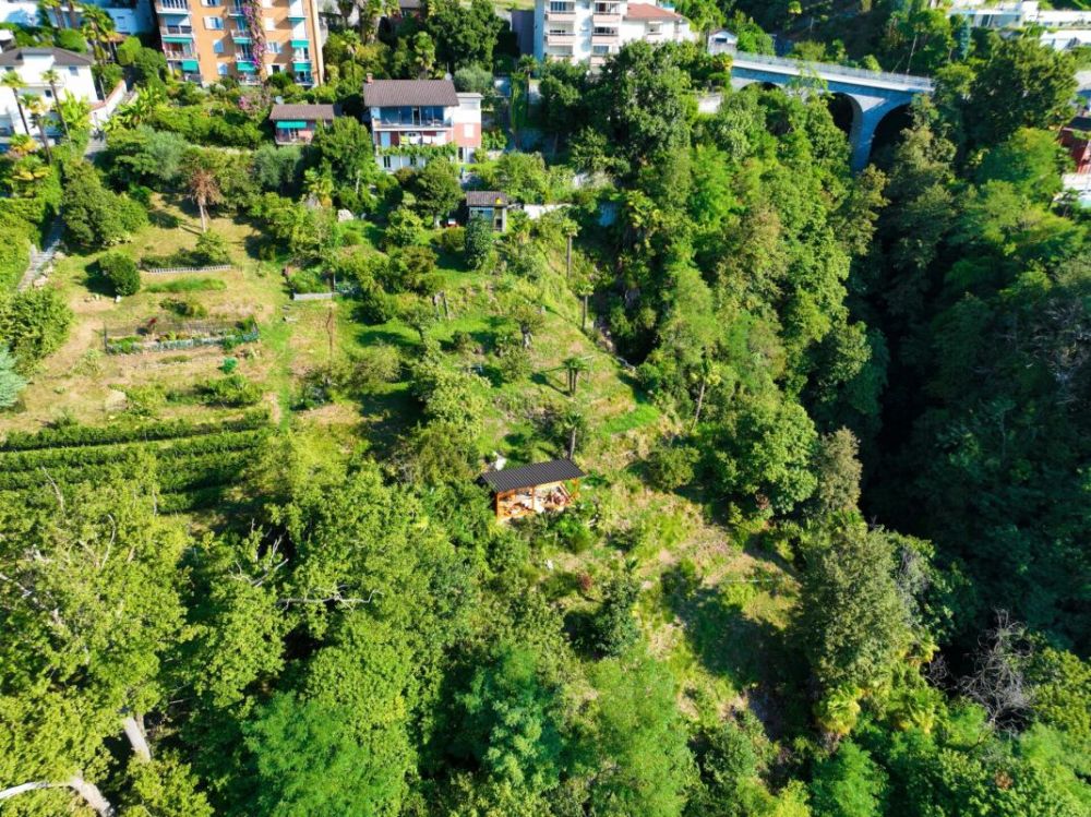 Orselina - The View - Bild 9