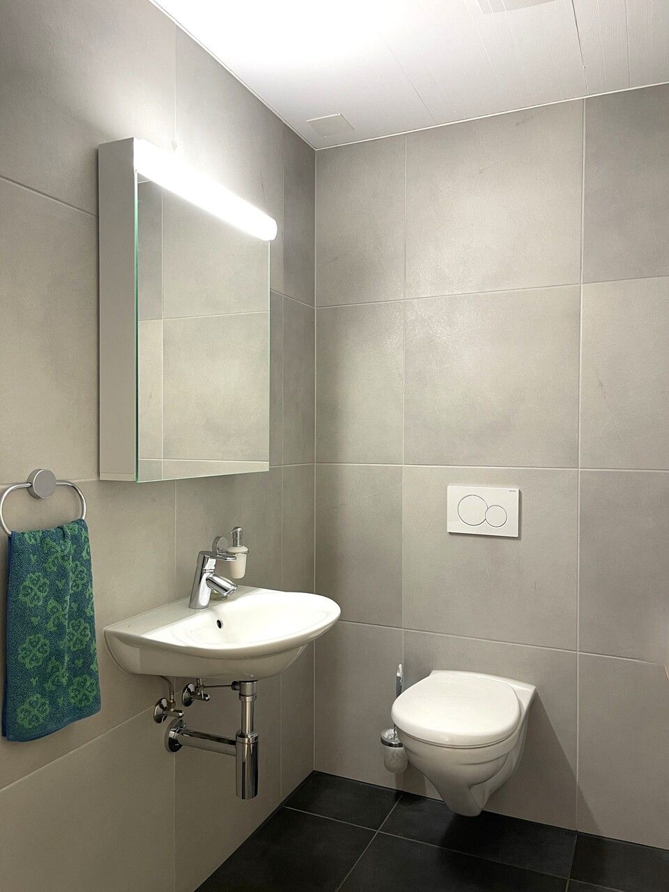 Helle 4½-Zi-Gartenwohnung mit Carport und Garten - Gäste-WC