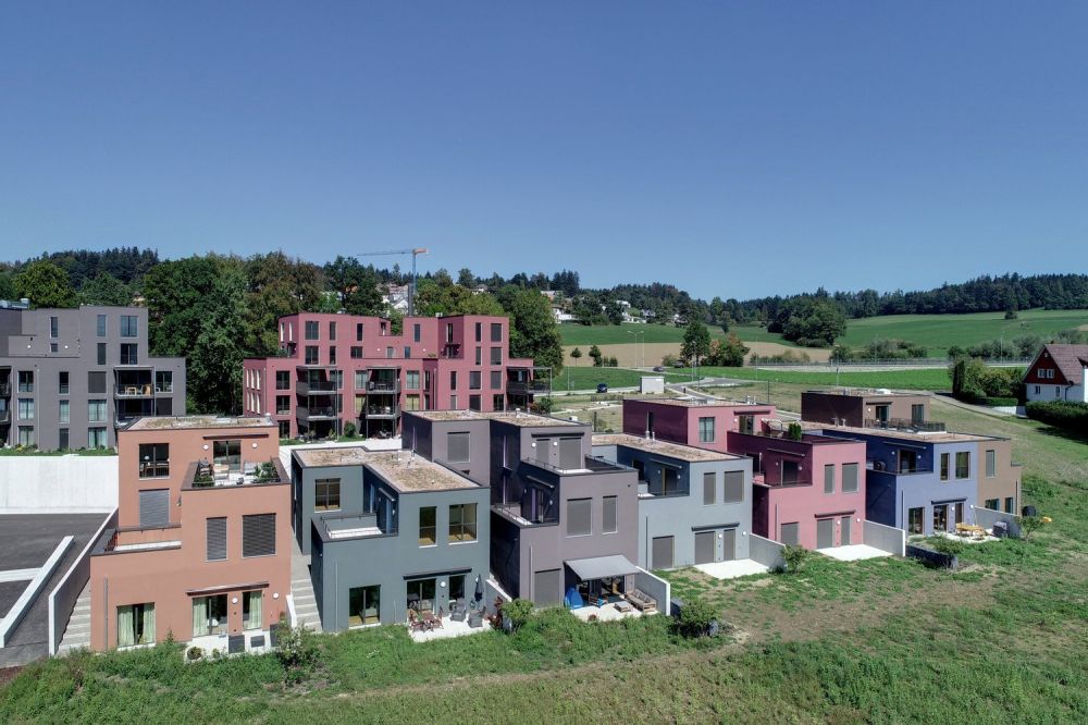 Neubau Ankenbüel: Gemütliche und sonnige Wohnung! - Bild 1