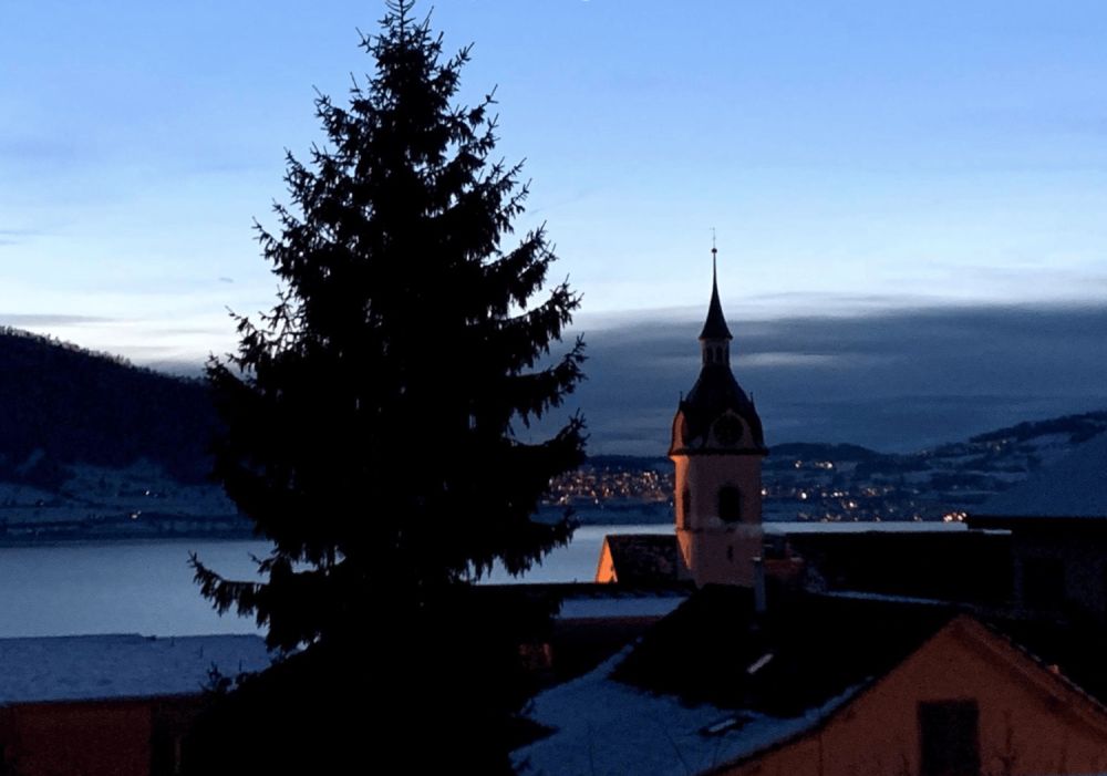 Freistehendes 2.5-Zimmer-Chalet in Walchwil – See-/Rigi-Sicht – Neubau 2026 - Bild 6