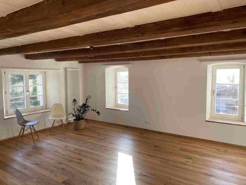 Renoviertes, historisches Doppel-Bauernhaus in Himmelried - Bild 6