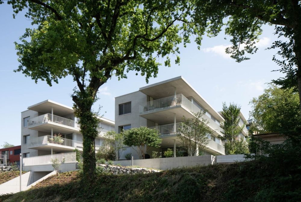 Moderne 3.5-Zimmer-Wohnung mit grossem Balkon und kleinem Garten - Bild 5
