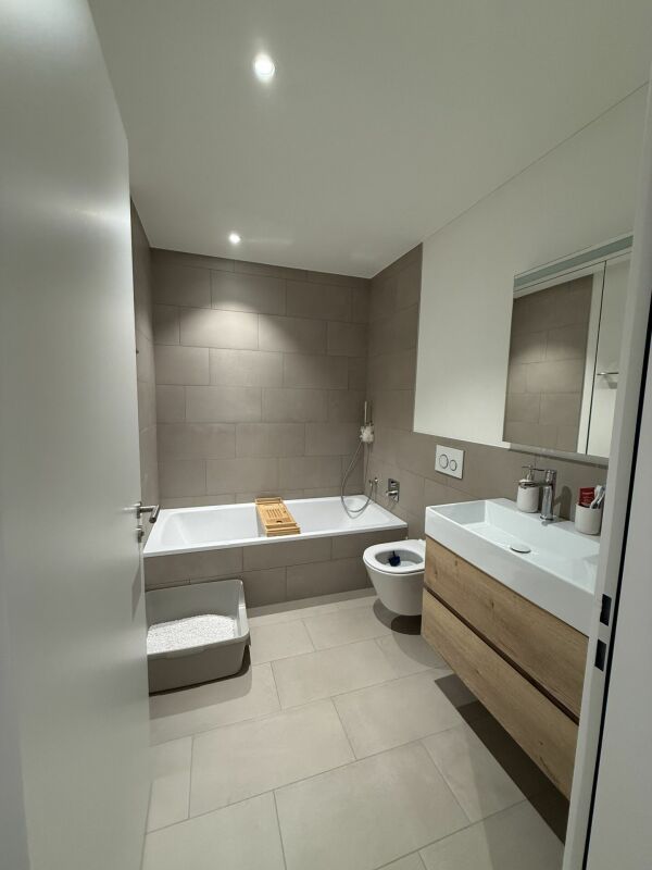 Moderne 4.5-Zimmer Neubauwohnung mit Balkon & Top-Ausstattung - Nachmieter gesucht - Bild 5