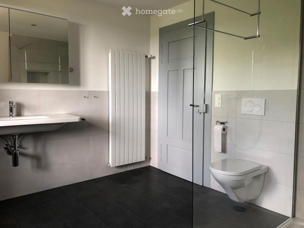 Einfamilienhaus mit Aussicht und grosszügigem Umschwung - Erstvermietung! - Bild 12